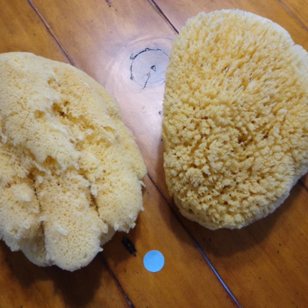 Lot of 2 New! Authentic Natural Select Sponges